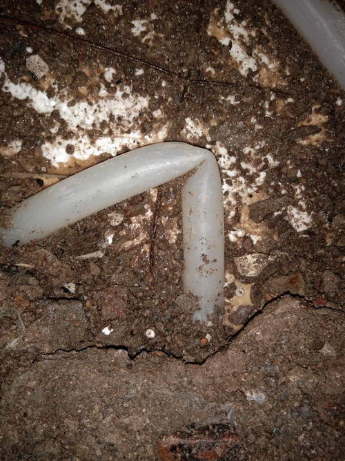 射阳堵点精准查找